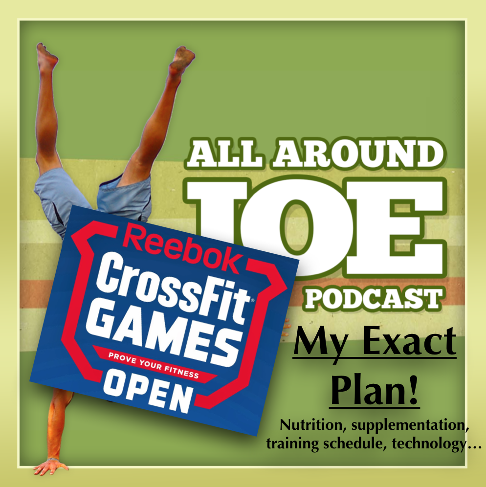 AAJ 073: The exact plan that I’m using for the CrossFit Open 2017 (absolutely everything…)