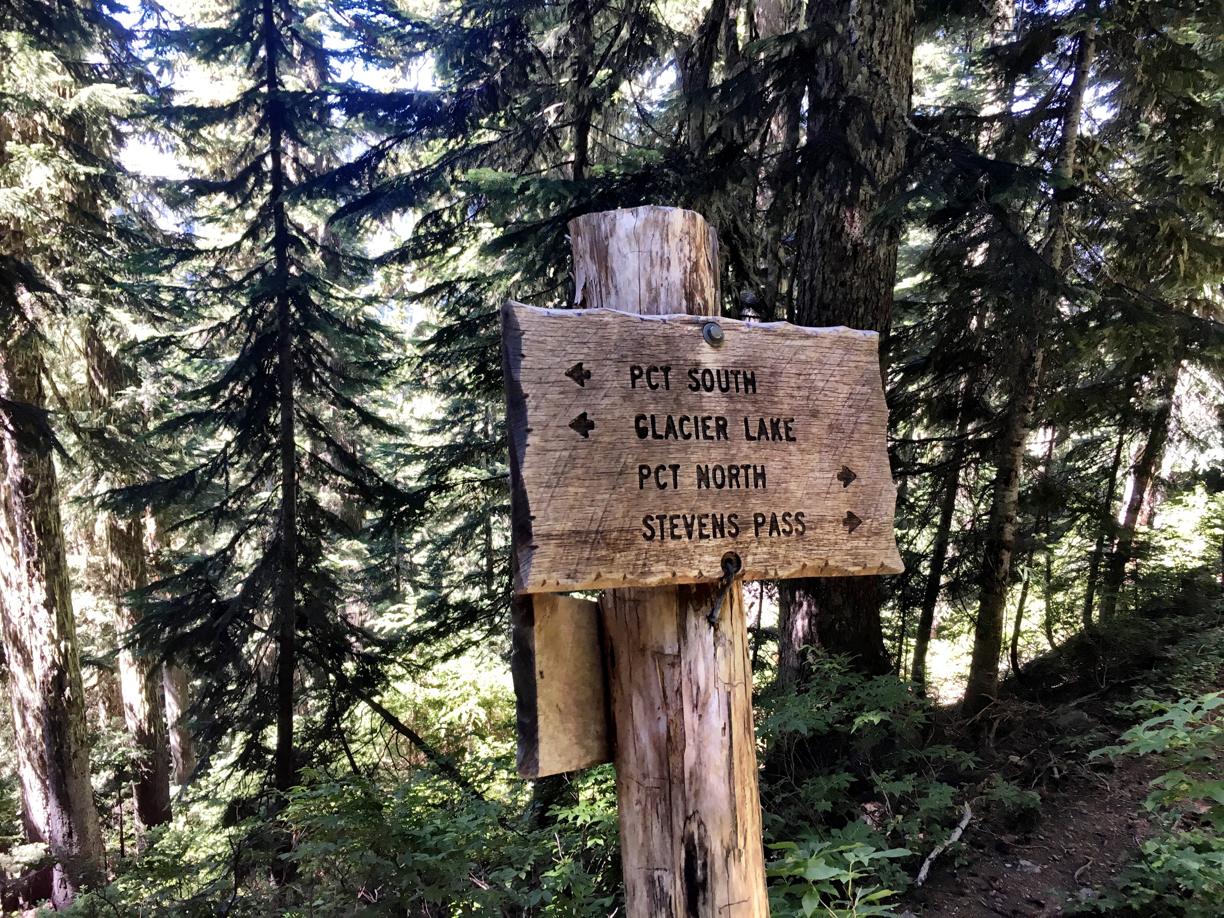 PCT Trail Sign on Stevens Pass to Snoqualmie Pass adventure