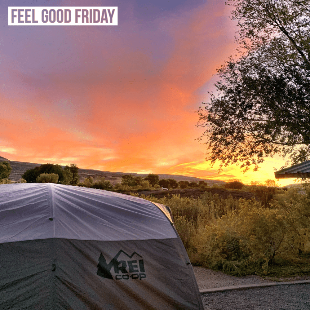 Feel Good Friday – Nature Neurons – 18 Road Trails