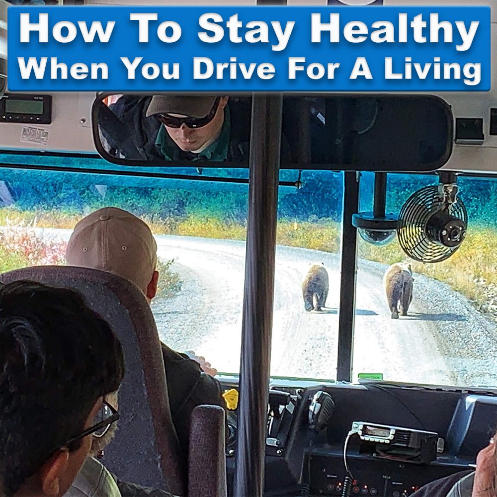 How To Stay Healthy When You Drive For A Living - driving in Denali National park