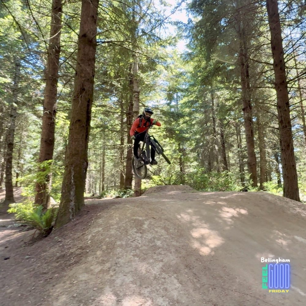 Transition Regulator SX Review: Lightweight, Powerful, and Just Plain Fun