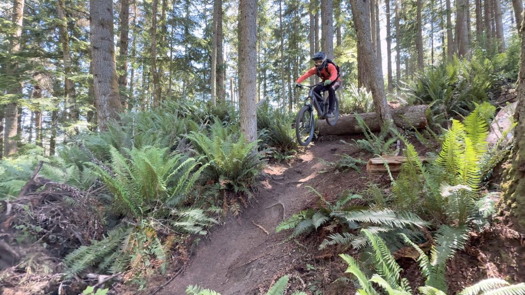 Transition Regulator SX review dropping off a log in Galbraith